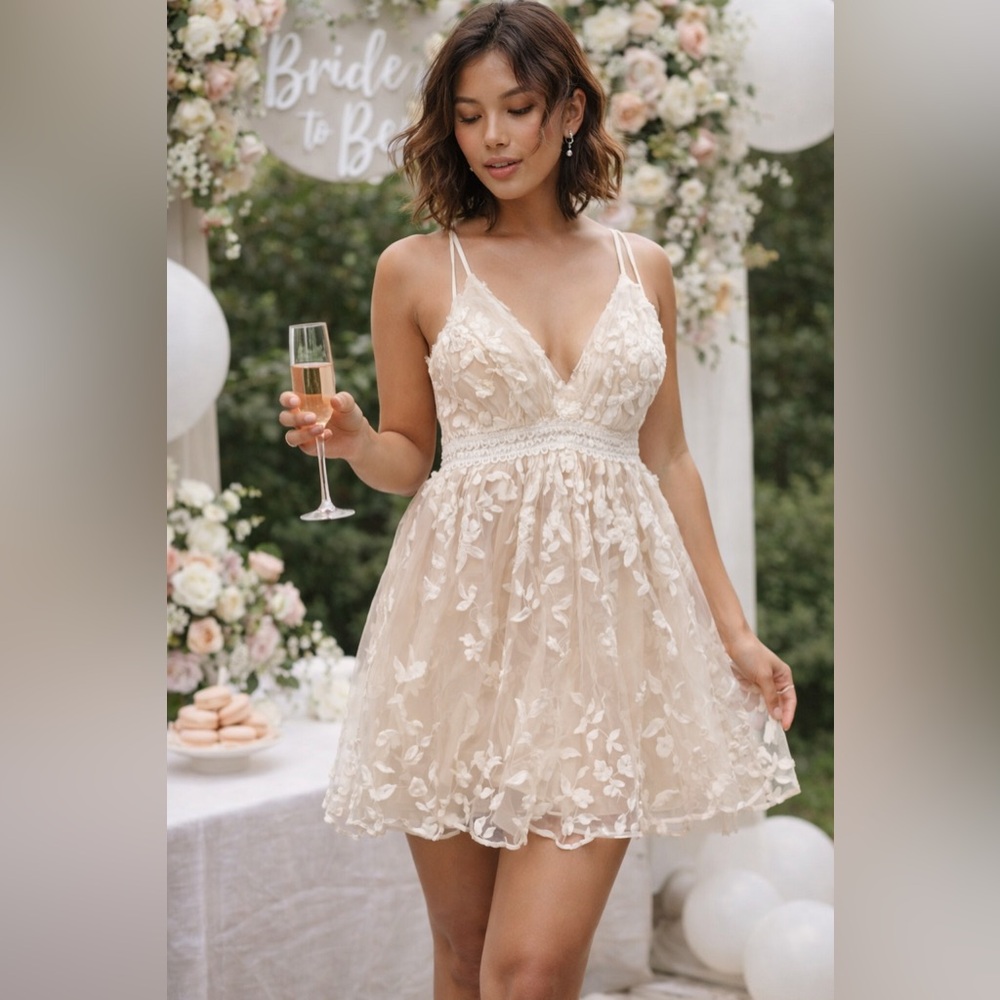 Aakaa Blush Cream Embroidered Lace Mini Dress